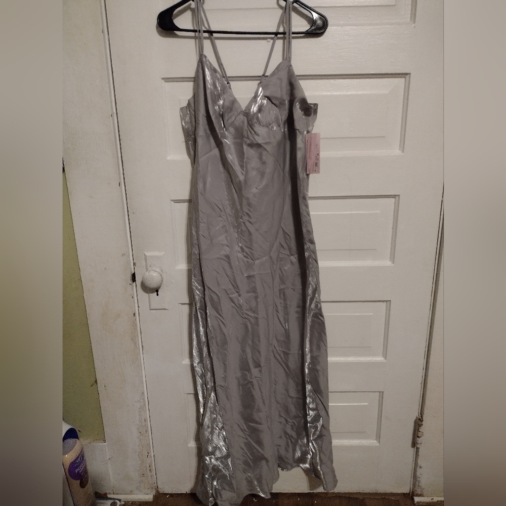 NWT Wild Fable Shimmering Silver Dress